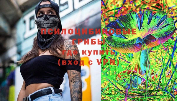 apvp Новозыбков