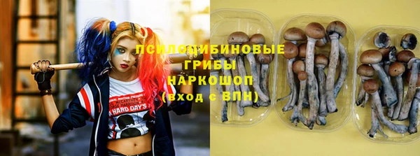 гидра Нефтекумск