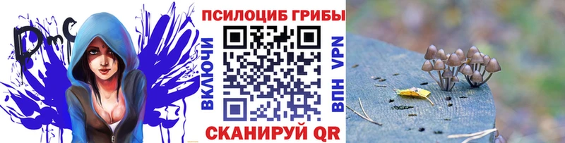 купить закладку  hydra tor  Псилоцибиновые грибы ЛСД  Нытва 